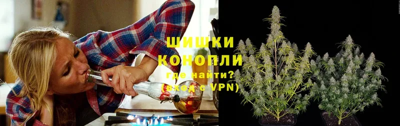 Бошки марихуана конопля  где продают наркотики  Полярные Зори 